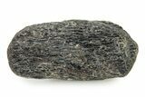 Cretaceous Swordfish (Protosphyraena) Hypural - Kansas #322932-1